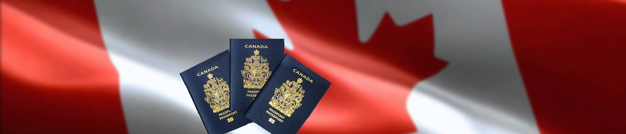 Фото 8 000 миллионеров иммигрировало в Канаду в прошлом году